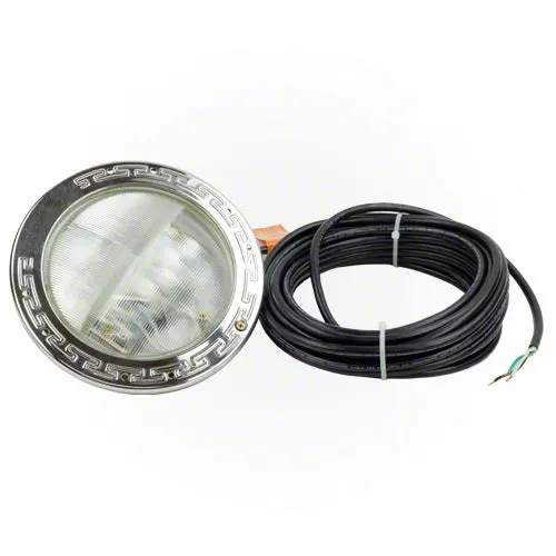 Pentair IntelliBrite White LED Pool Light 601101 - 50 Foot Cord