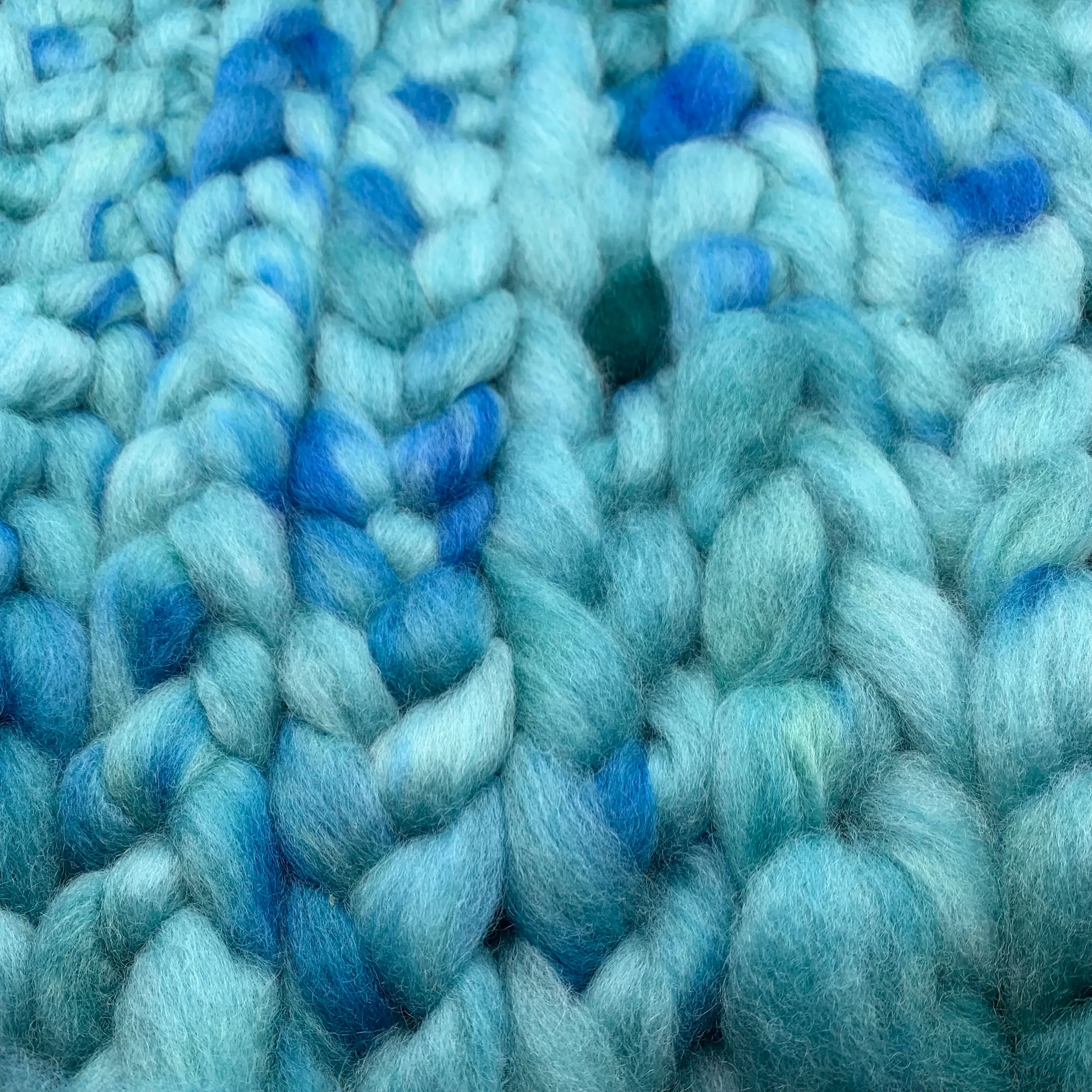 PNWWW Coopworth Wool Roving 4oz: Day Dreams