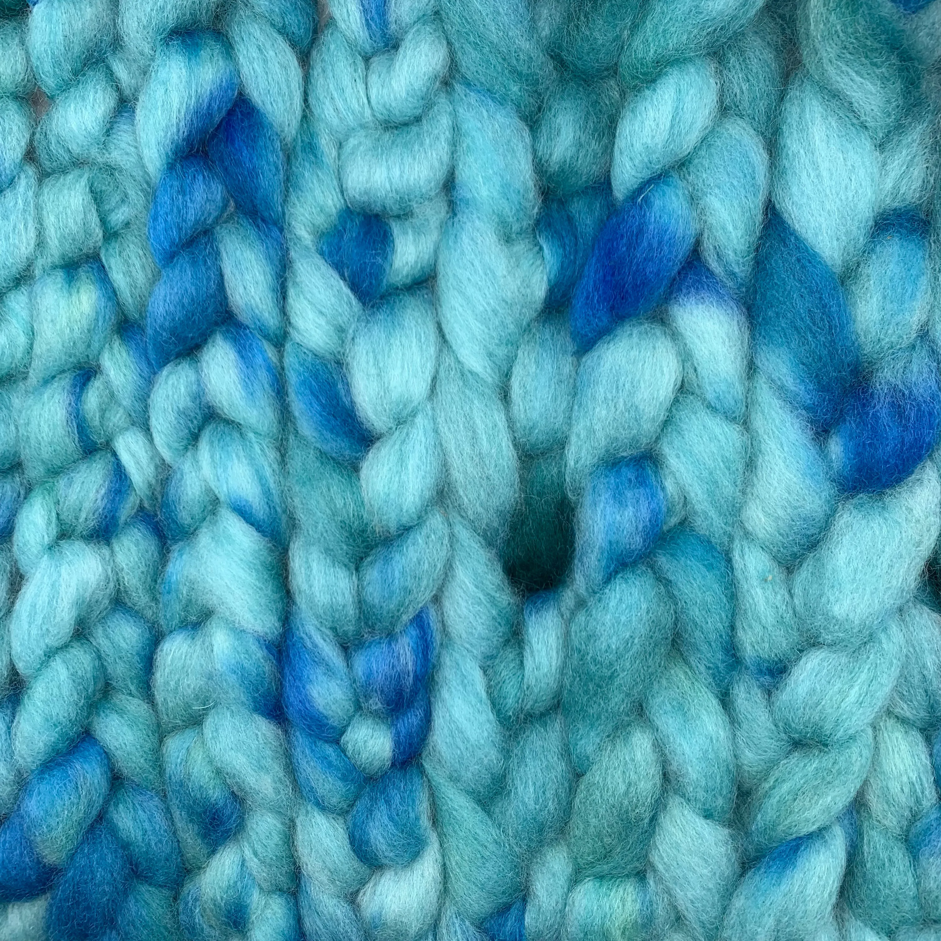 PNWWW Coopworth Wool Roving 4oz: Day Dreams