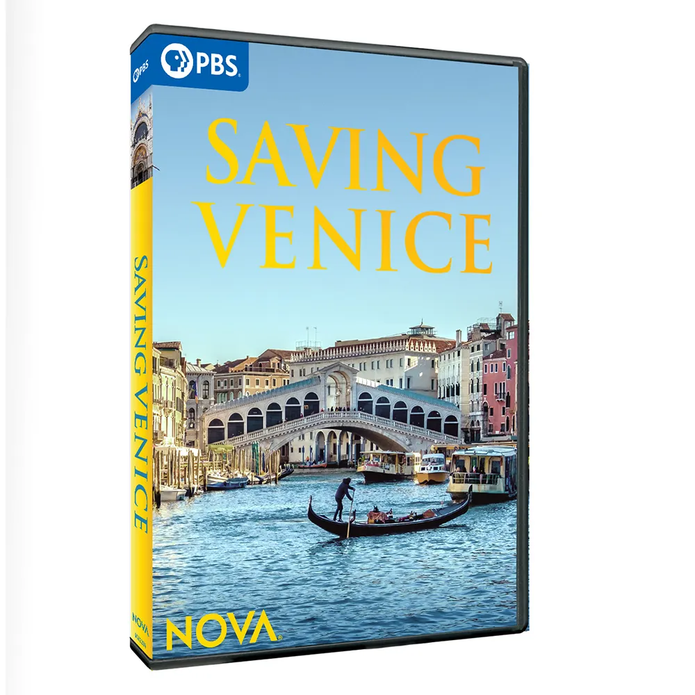 Saving Venice